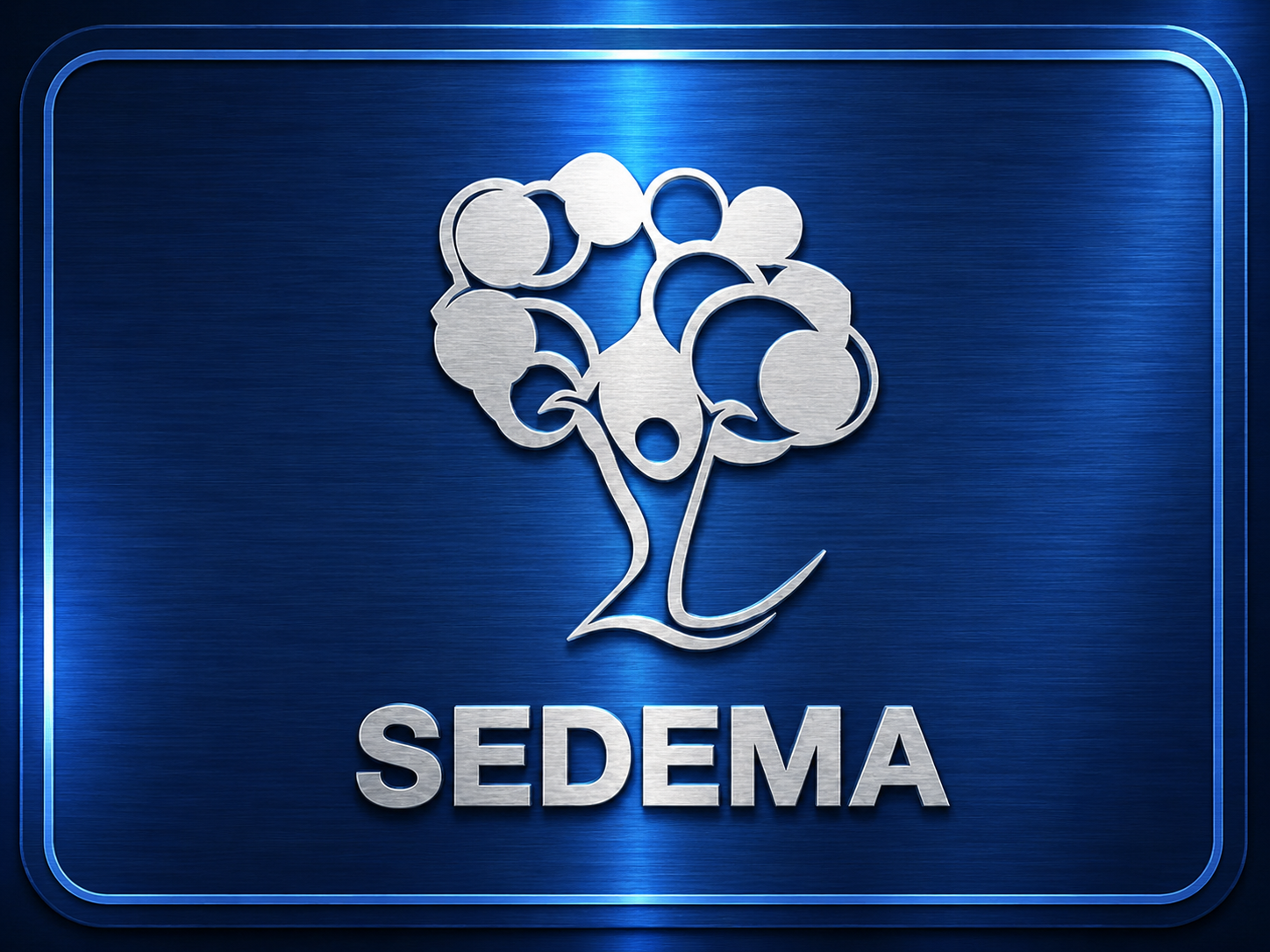 SEDEMA